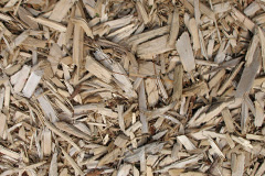 biomass boilers Lympstone
